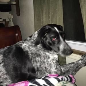 Meet your Posher, Rick